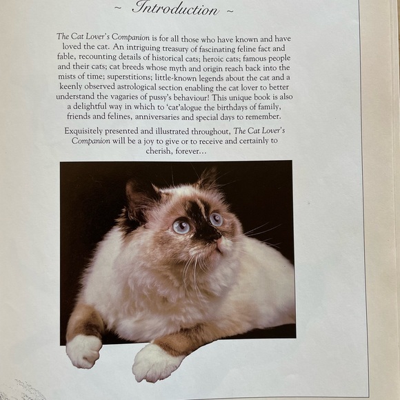 Vintage The Cat Lover’s Companion hardcover book - Picture 3 of 7